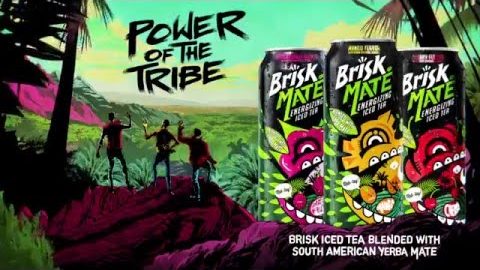 brisk mate energy